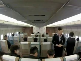 Vackra stewardessen