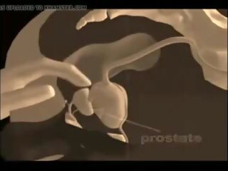 Bagaimana untuk memberikan sebuah prostat pijat, gratis xxx pijat xxx video vid