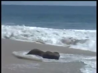 Beach Orgy: Beach Group & Orgies adult clip film 4a