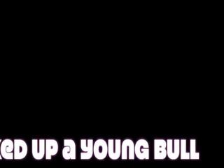 Picked up a Young Bull Trailer, Free Free Young Xxx HD xxx video