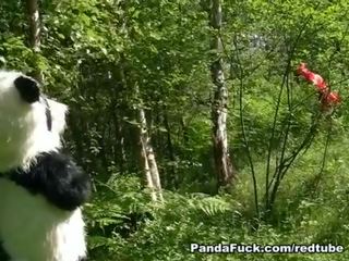 Roșu calarind glugă inpulit de panda